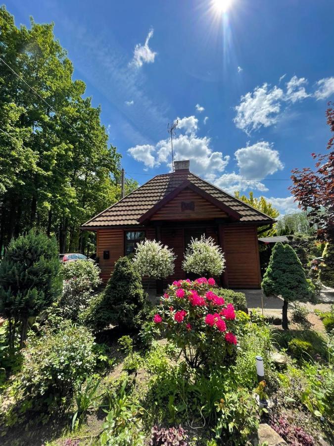 Zarzecze 27A Villa Augustów Kültér fotó