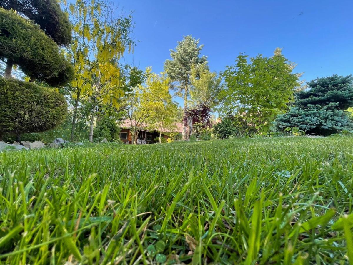 Zarzecze 27A Villa Augustów Kültér fotó